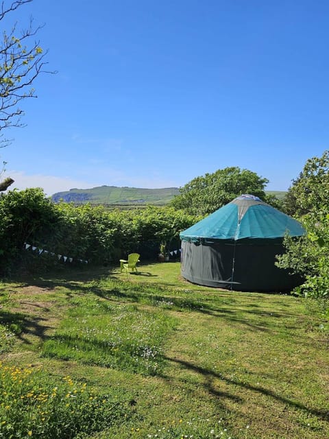Natural landscape, Garden view