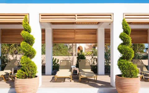 Decorative detail, Area and facilities, Swimming pool