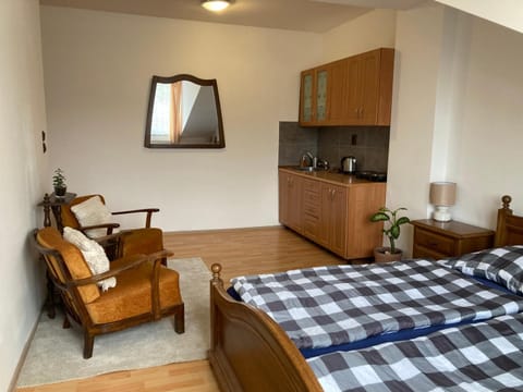 Bed, Kitchen or kitchenette, Photo of the whole room, Seating area