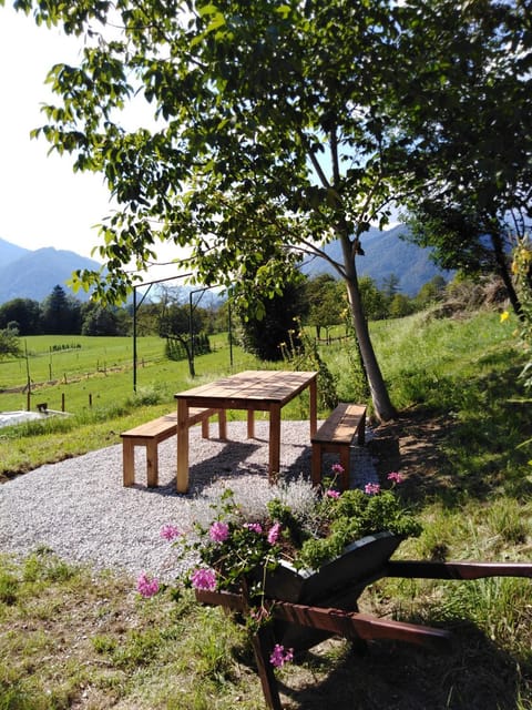 Natural landscape, Garden, Garden view, Mountain view