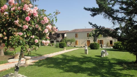 Natural landscape, Garden