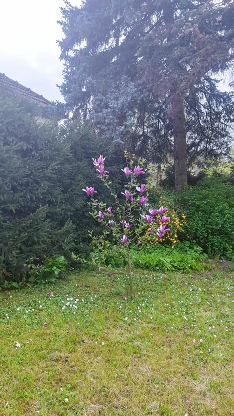 Smestaj Vanja House in Zlatibor District, Serbia