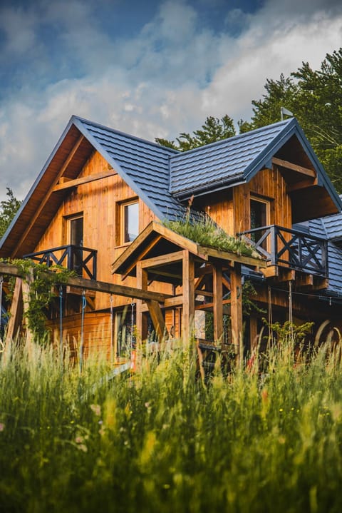 Property building, Spring, Day, Garden