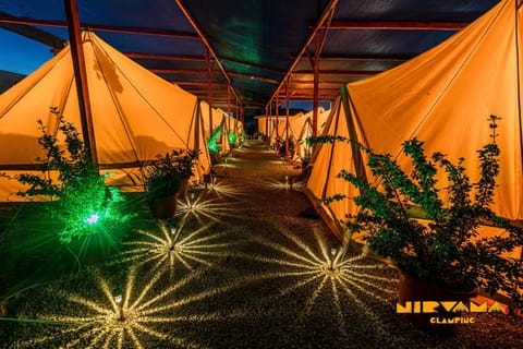 Night, Natural landscape, Garden, Garden view