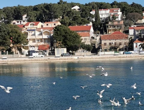 Apartmenthaus Kosirina-Tisno Apartment in Tisno