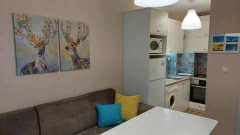 Communal lounge/ TV room, Kitchen or kitchenette, Living room