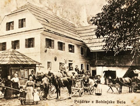 Frida's Old House Apartment in Bled