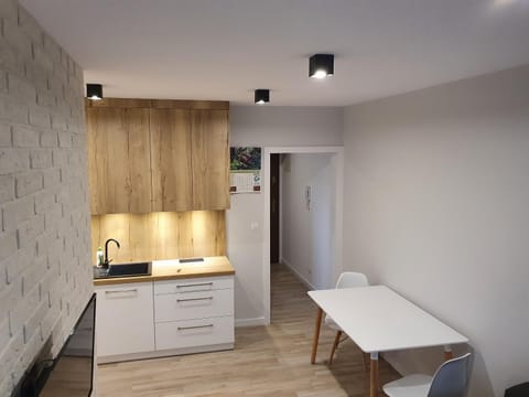 Apartament nad Sapiną Apartment in Lithuania