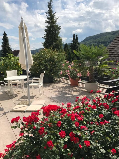 Patio, Balcony/Terrace