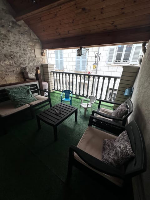 Gite Le Nid des Zoo Zio, 5mn Beauval, appartement terrasse centre-ville Apartment in Centre-Val de Loire