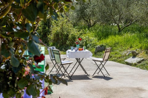 Patio, Garden, Balcony/Terrace