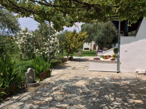 Pension Karadolas Rachoni Apartment in Thasos