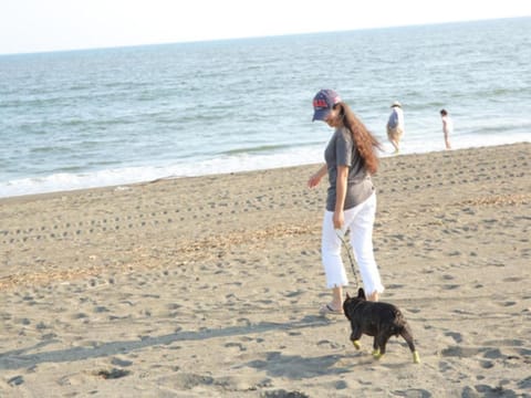 Off site, Beach