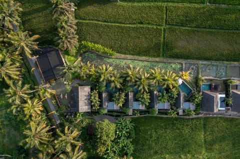 Property building, Day, Natural landscape, Bird's eye view, Garden