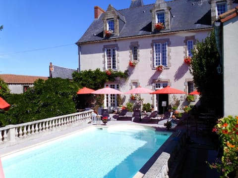 Garden, Swimming pool