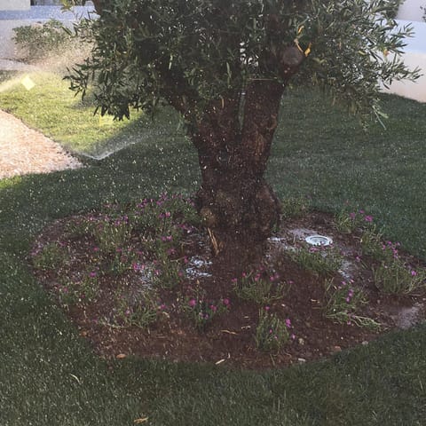 Garden, Garden, Garden view
