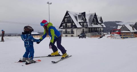 Day, Winter, Skiing
