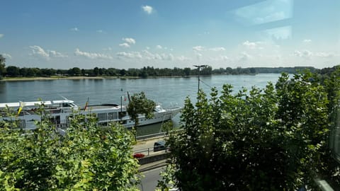 Natural landscape, River view