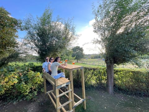 Natural landscape, Guests, Garden view