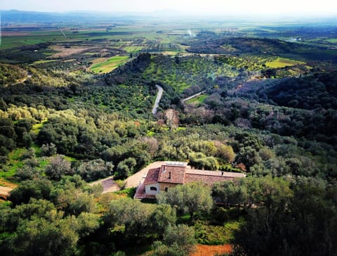 Natural landscape, Bird's eye view
