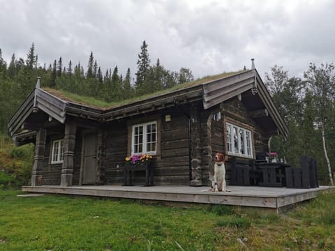 Property view