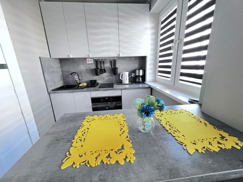 Kitchen or kitchenette, stove, towels