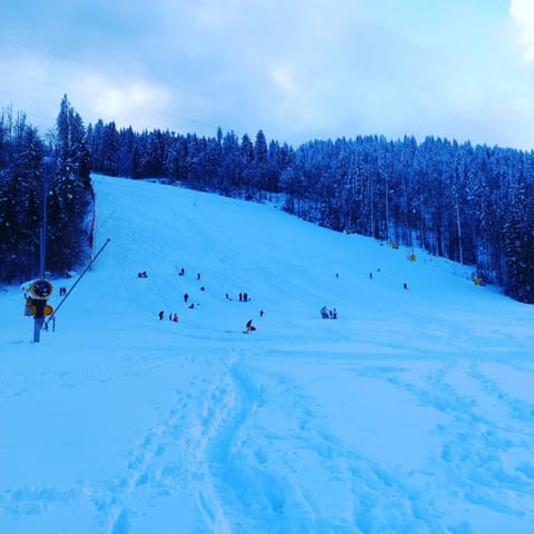 Al sentiero di Charly Bed and Breakfast in Friuli-Venezia Giulia