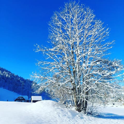 Al sentiero di Charly Bed and Breakfast in Friuli-Venezia Giulia