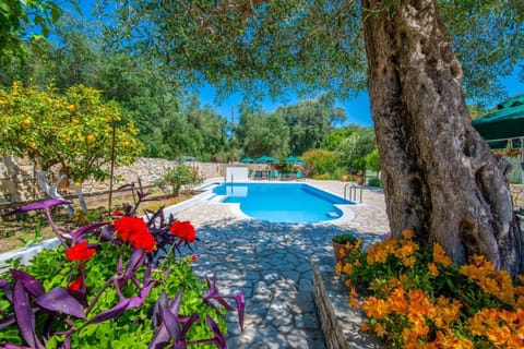Natural landscape, Garden, Garden, Swimming pool