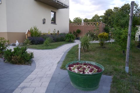 Property building, Garden, Garden view