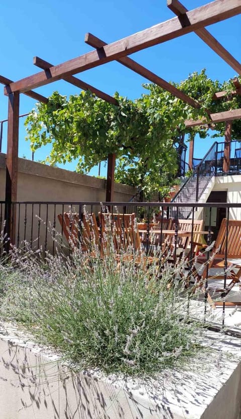 Casa Nonna Tereza Apartment in Premantura