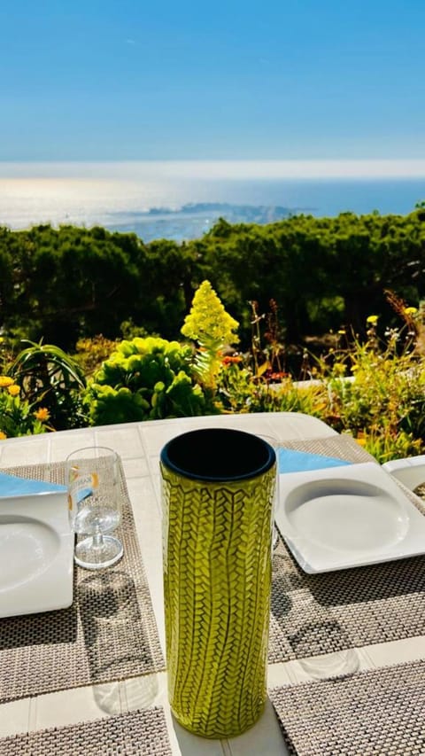 Patio, Day, Natural landscape, View (from property/room), Balcony/Terrace, Dining area, Sea view