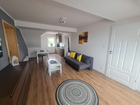 Apartamenty Kalinowa Nowęcin Łeba Sauna Apartment in Leba