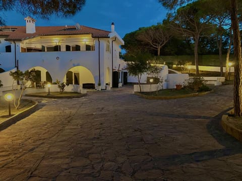 Night, Garden, Garden view