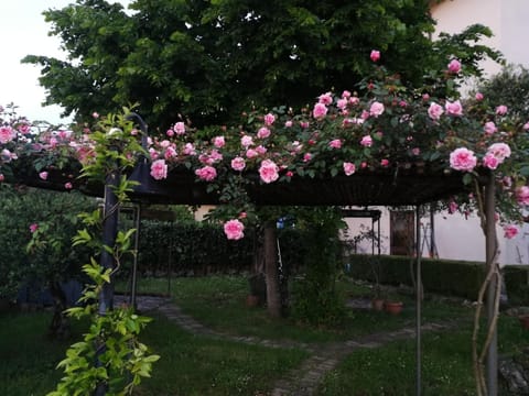 Happy Family B&B Bed and Breakfast in Basilicata