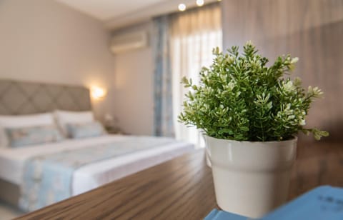 Hotel Olga Hotel in Halkidiki