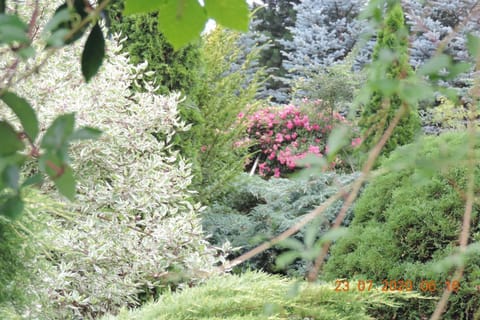 Neighbourhood, Natural landscape, Garden