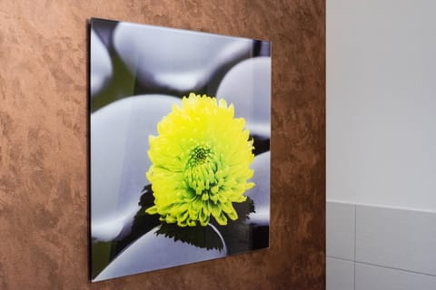 Apartment 4 Apartment in Singen