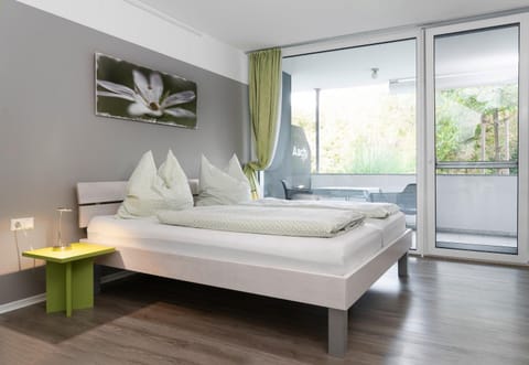 Apartment 4 Apartment in Singen