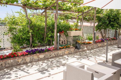 Garden, Garden, Solarium, Garden view, Inner courtyard view