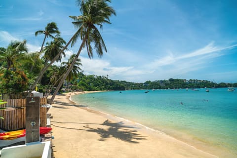 Beach, Beach