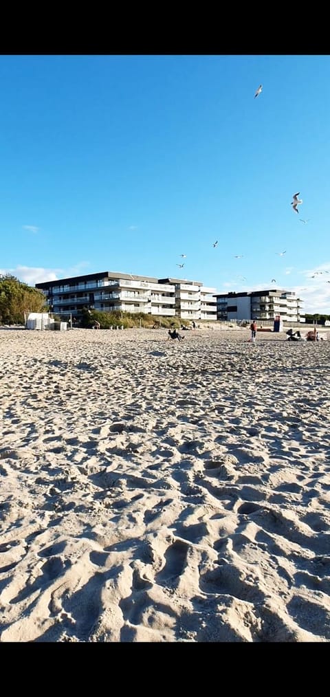 Ive‘s Gardenia Seaside Apartment in West Pomeranian Voivodeship, Poland