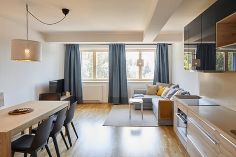 TV and multimedia, Kitchen or kitchenette, Living room, Photo of the whole room, Seating area, Dining area