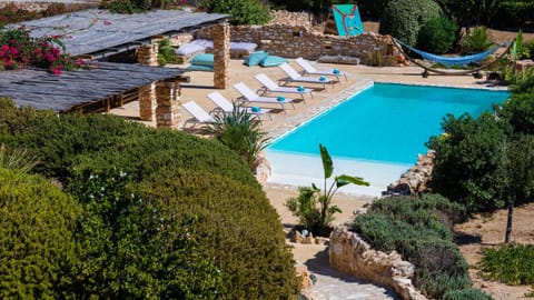 Garden, Garden view, Swimming pool
