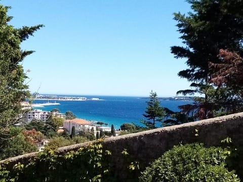 Natural landscape, Beach, Lake view