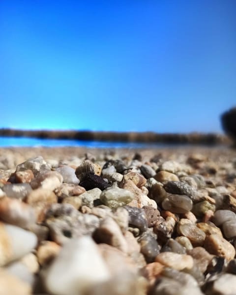 B&B Mamuthones Bed and Breakfast in Porto Torres