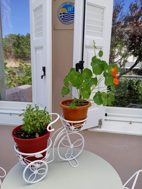 Garden, View (from property/room), Balcony/Terrace, Other