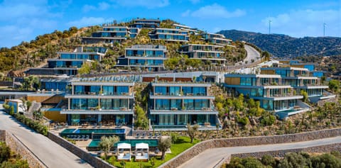 Property building, Day, Natural landscape, Bird's eye view