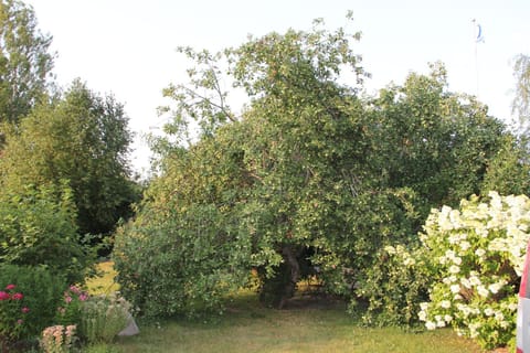 Property building, Garden view