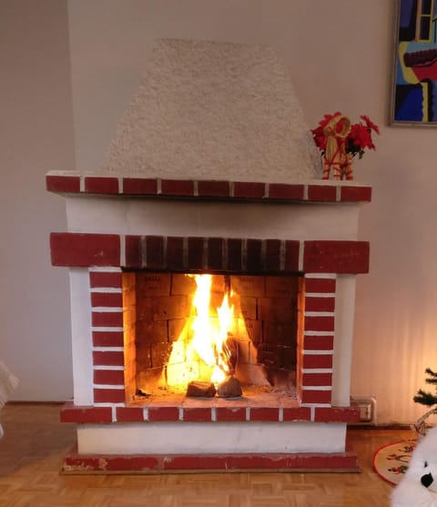 Tilava huoneisto puutarhanäkymällä Apartment in Finland